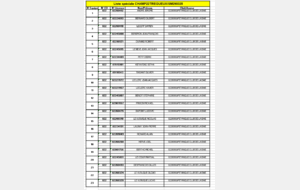 Inscription au championnat départemental tête à tête masculin à LOUDEAC OU TREGUEUX le 29 Mars 2025