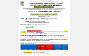 Championnat Départemental Doublettes Sénior Mixte à Trégueux