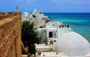 Challenge Pétanque Passion à Hammamet