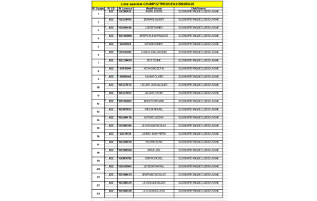 Inscription au championnat départemental tête à tête masculin à LOUDEAC OU TREGUEUX le 29 Mars 2025